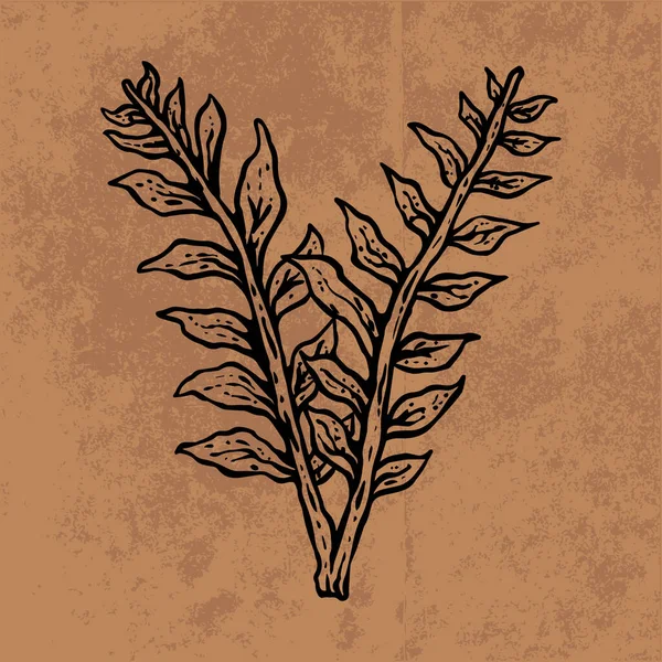 Botanical leaf doodle wildflower line art. Hand drawn vector illustration.Vintage floral outline. Suitable for wallpaper, poster, sticker,content social media