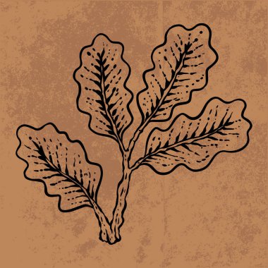 Botanik yaprağı yaban çiçeği çizgisi sanatı. El çizimi vektör çizimi. Klasik çiçek çizimi. Duvar kağıdı, poster, etiket, içerik sosyal medya için uygun