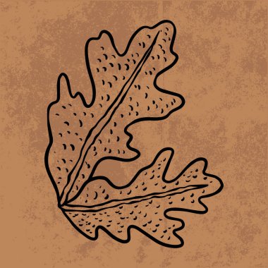 Botanik yaprağı yaban çiçeği çizgisi sanatı. El çizimi vektör çizimi. Klasik çiçek çizimi. Duvar kağıdı, poster, etiket, içerik sosyal medya için uygun