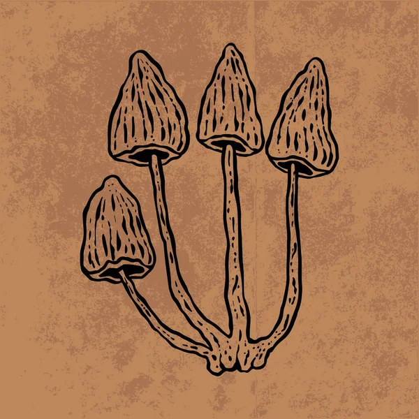Botanical leaf doodle wildflower line art. Hand drawn vector illustration.Vintage floral outline. Suitable for wallpaper, poster, sticker,content social media