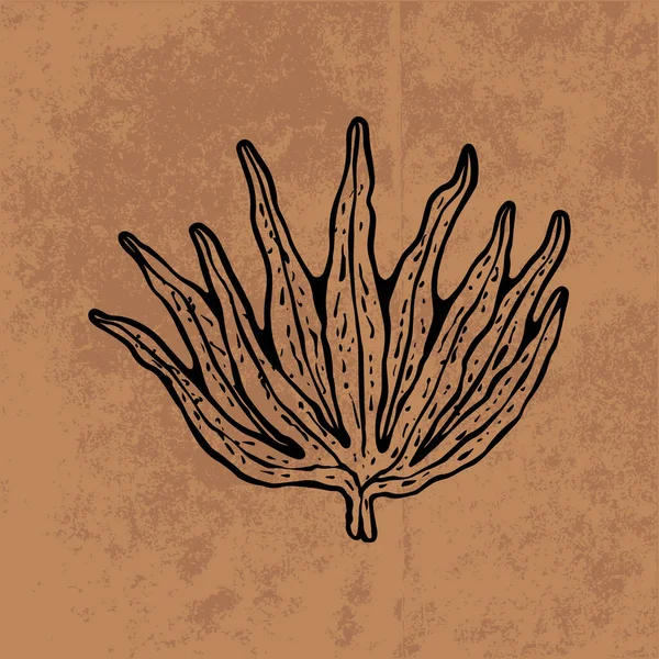 Botanical leaf doodle wildflower line art. Hand drawn vector illustration.Vintage floral outline. Suitable for wallpaper, poster, sticker,content social media