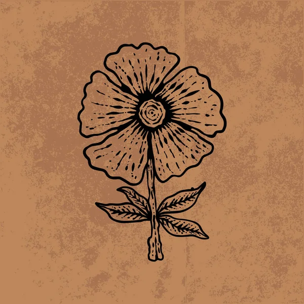 Botanical leaf doodle wildflower line art. Hand drawn vector illustration.Vintage floral outline. Suitable for wallpaper, poster, sticker,content social media