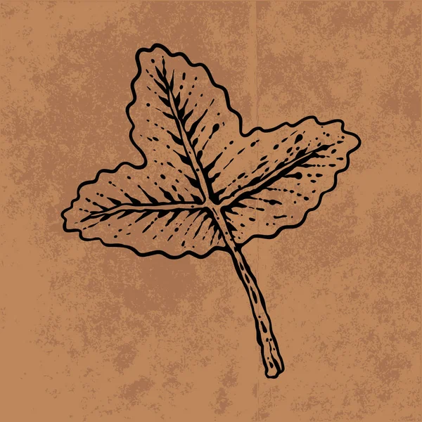 Botanical leaf doodle wildflower line art. Hand drawn vector illustration.Vintage floral outline. Suitable for wallpaper, poster, sticker,content social media