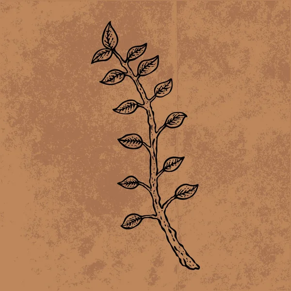 Botanical leaf doodle wildflower line art. Hand drawn vector illustration.Vintage floral outline. Suitable for wallpaper, poster, sticker,content social media