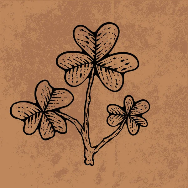 Botanical leaf doodle wildflower line art. Hand drawn vector illustration.Vintage floral outline. Suitable for wallpaper, poster, sticker,content social media