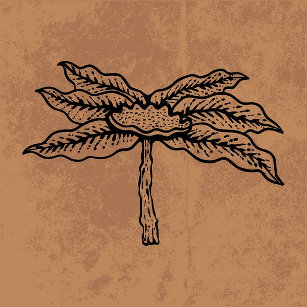 Botanical leaf doodle wildflower line art. Hand drawn vector illustration.Vintage floral outline. Suitable for wallpaper, poster, sticker,content social media