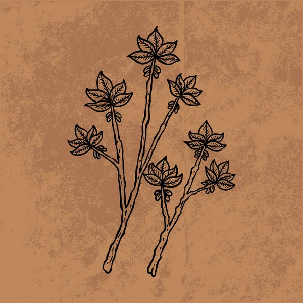 Botanical leaf doodle wildflower line art. Hand drawn vector illustration.Vintage floral outline. Suitable for wallpaper, poster, sticker,content social media