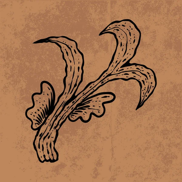 Botanical Leaf Doodle Wildflower Line Art Hand Drawn Vector Illustration — Stock Vector