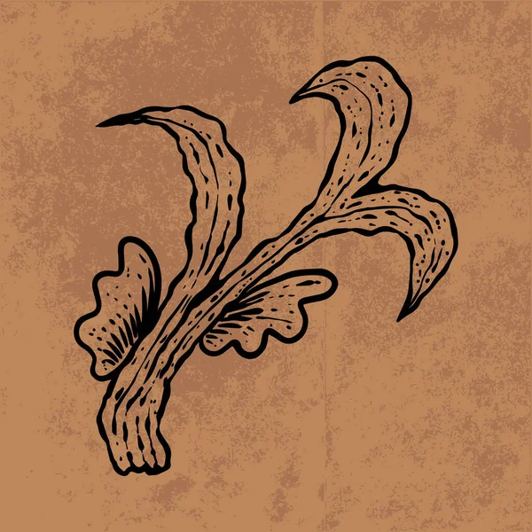 Botanical leaf doodle wildflower line art. Hand drawn vector illustration.Vintage floral outline. Suitable for wallpaper, poster, sticker,content social media