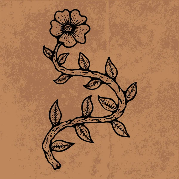 Botanical leaf doodle wildflower line art. Hand drawn vector illustration.Vintage floral outline. Suitable for wallpaper, poster, sticker,content social media