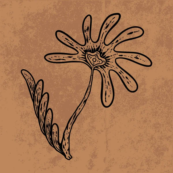 Botanical leaf doodle wildflower line art. Hand drawn vector illustration.Vintage floral outline. Suitable for wallpaper, poster, sticker,content social media
