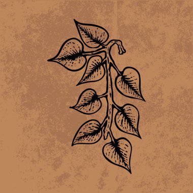 Botanik yaprağı yaban çiçeği çizgisi sanatı. El çizimi vektör çizimi. Klasik çiçek çizimi. Duvar kağıdı, poster, etiket, içerik sosyal medya için uygun