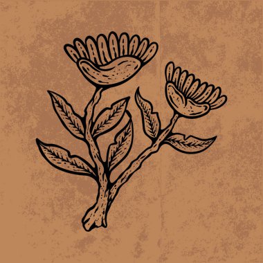 Botanik yaprağı yaban çiçeği çizgisi sanatı. El çizimi vektör çizimi. Klasik çiçek çizimi. Duvar kağıdı, poster, etiket, içerik sosyal medya için uygun