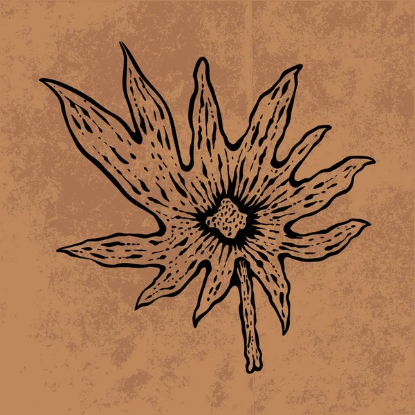 Botanical leaf doodle wildflower line art. Hand drawn vector illustration.Vintage floral outline. Suitable for wallpaper, poster, sticker,content social media