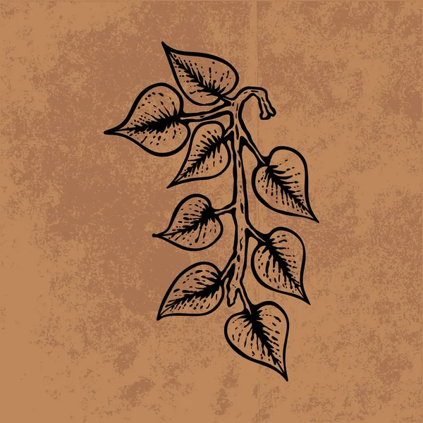 Botanical leaf doodle wildflower line art. Hand drawn vector illustration.Vintage floral outline. Suitable for wallpaper, poster, sticker,content social media