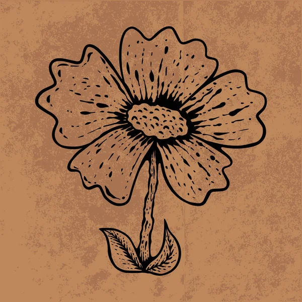 Botanical leaf doodle wildflower line art. Hand drawn vector illustration.Vintage floral outline. Suitable for wallpaper, poster, sticker,content social media