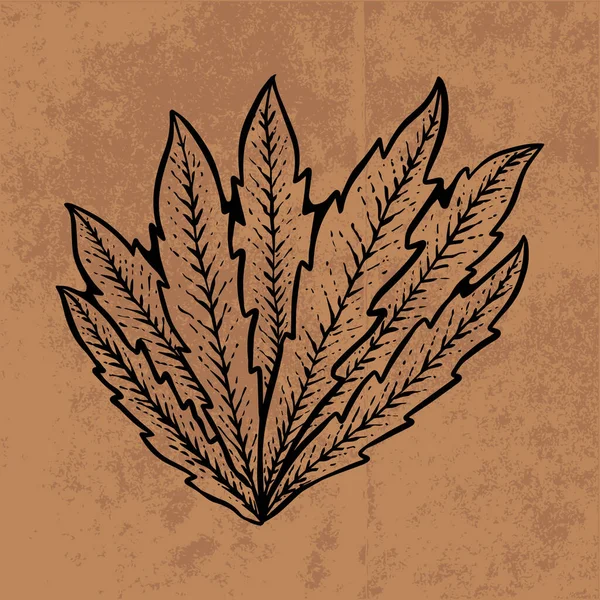 Botanical leaf doodle wildflower line art. Hand drawn vector illustration.Vintage floral outline. Suitable for wallpaper, poster, sticker,content social media