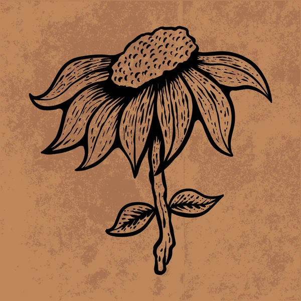 Botanical leaf doodle wildflower line art. Hand drawn vector illustration.Vintage floral outline. Suitable for wallpaper, poster, sticker,content social media