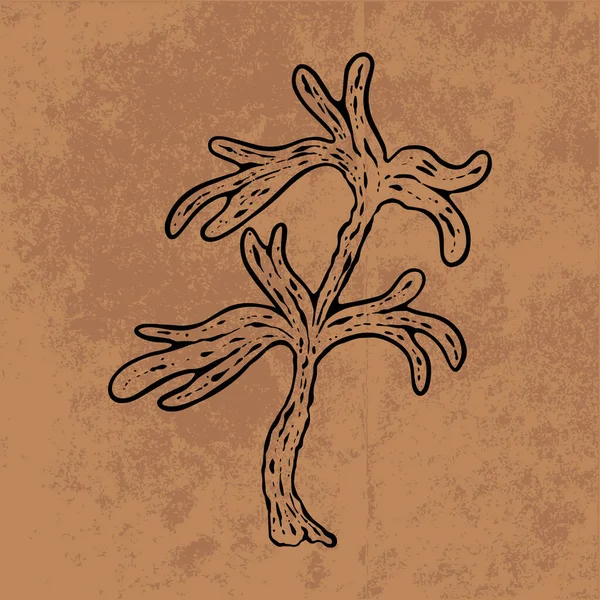 Botanical leaf doodle wildflower line art. Hand drawn vector illustration.Vintage floral outline. Suitable for wallpaper, poster, sticker,content social media