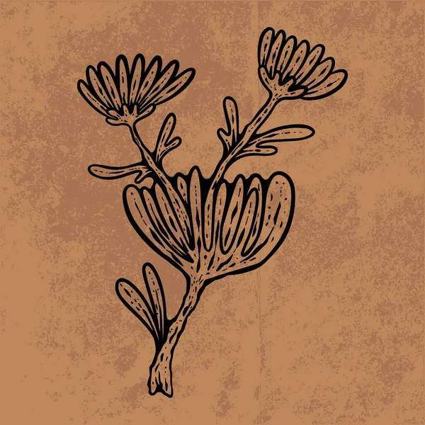 Botanical leaf doodle wildflower line art. Hand drawn vector illustration.Vintage floral outline. Suitable for wallpaper, poster, sticker,content social media