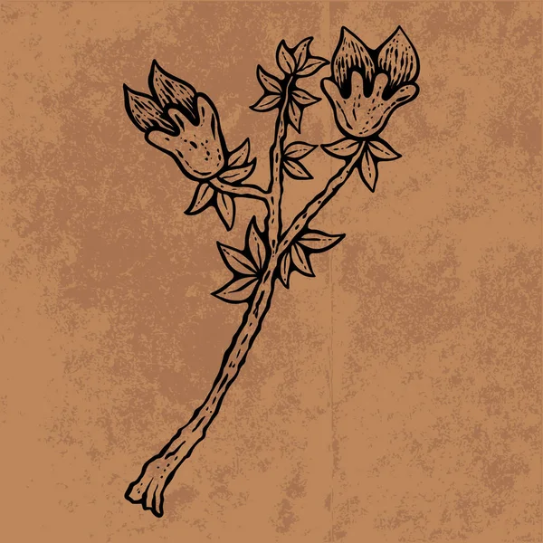 Botanical leaf doodle wildflower line art. Hand drawn vector illustration.Vintage floral outline. Suitable for wallpaper, poster, sticker,content social media