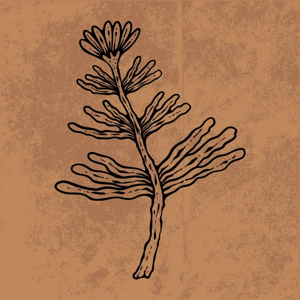 Botanical leaf doodle wildflower line art. Hand drawn vector illustration.Vintage floral outline. Suitable for wallpaper, poster, sticker,content social media