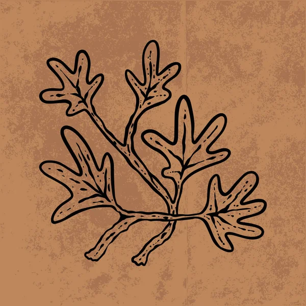 Botanical Leaf Doodle Wildflower Line Art Hand Drawn Vector Illustration — Image vectorielle