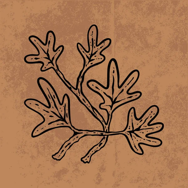 Botanical leaf doodle wildflower line art. Hand drawn vector illustration.Vintage floral outline. Suitable for wallpaper, poster, sticker,content social media