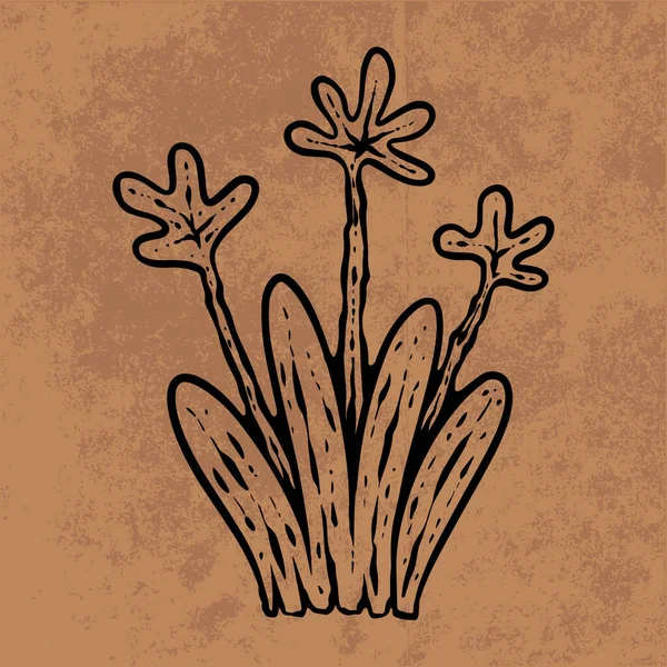 Botanical leaf doodle wildflower line art. Hand drawn vector illustration.Vintage floral outline. Suitable for wallpaper, poster, sticker,content social media