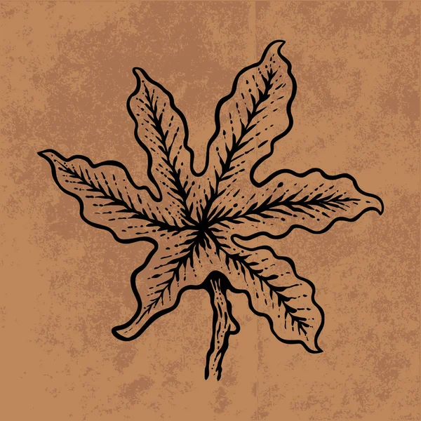 Botanical Leaf Doodle Wildflower Line Art Hand Drawn Vector Illustration — стоковый вектор