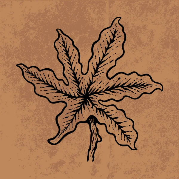 Botanical leaf doodle wildflower line art. Hand drawn vector illustration.Vintage floral outline. Suitable for wallpaper, poster, sticker,content social media