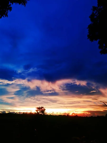 Sunset Mountain Tree Silhouette Orange Sky Background — Stok fotoğraf