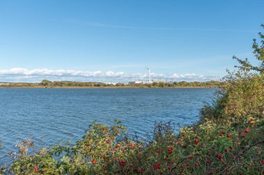 İsveç 'te Torslandaviken' de sonbahar