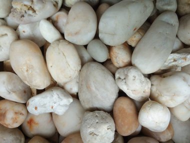 Pastel açık renkli taşlar çimenlik, bahçe, tarla, yakın plan, tam çerçeve. Arkaplan veya duvar kağıdı yapmak için.