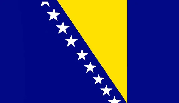 Illustration Flag Bosnia Herzegovina Accurate Dimensions Official Colors Symbol Patriotism — Stockfoto