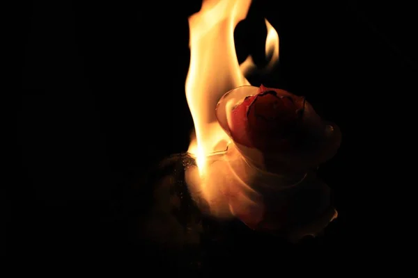 burning candle and ice rose in a fire flame
