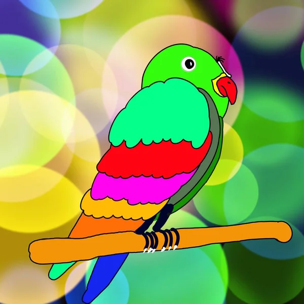 Colorful Cute Parrots Tree — Stock Photo, Image