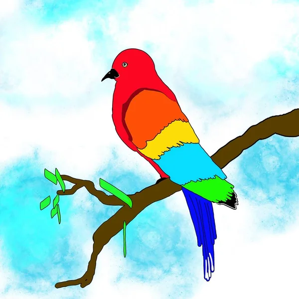 Ілюстрація Райських Птахів Вигляді Дерева Блакитного Неба — стокове фото