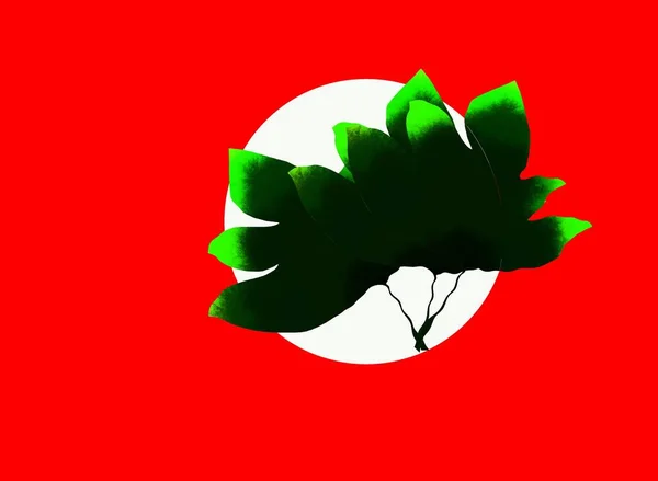 Kırmızı Siyah Yeşil Renklerin Gerçekçi Çiçek Desenleri Konsept Haklar Özgürlükler — Stok fotoğraf