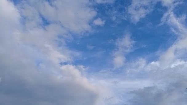 Time Lapse White Cloud Moving Blue Sky Footage Video Full — Stock Video