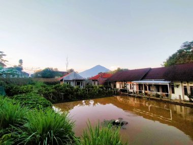 Sabah evin önündeki balık havuzu.