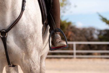 Side view of an unrecognizable woman on the stirrups of a horse. High quality photo