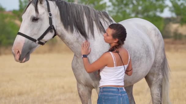 Side View Young Woman Petting Taking Care Her White Horse — Vídeos de Stock