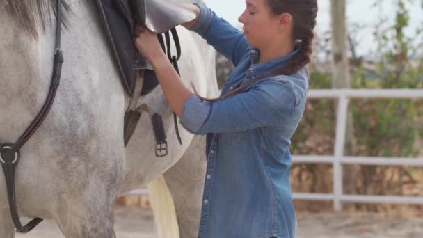Side View Young Woman Putting Saddle Her White Horse Stable — Stock Video