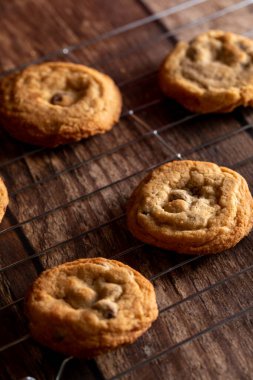 Koyu ahşap arka planda soğutucu rafında çikolatalı kurabiyeler.