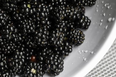 Bir grup taze, toplanmış ve olgun böğürtlen.