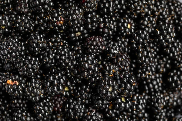 Group Fresh Picked Ripe Blackberries — Stock Photo, Image