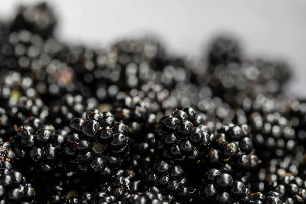 A group of fresh, picked, and ripe blackberries