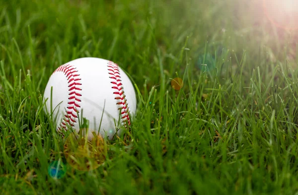 Baseball Laying Grass Outfield — Stock fotografie