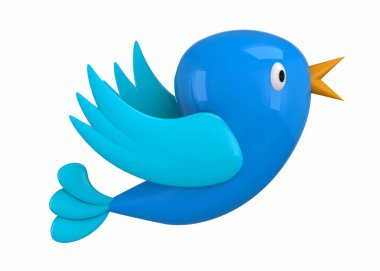 Sosyal ağ kuş - 3d